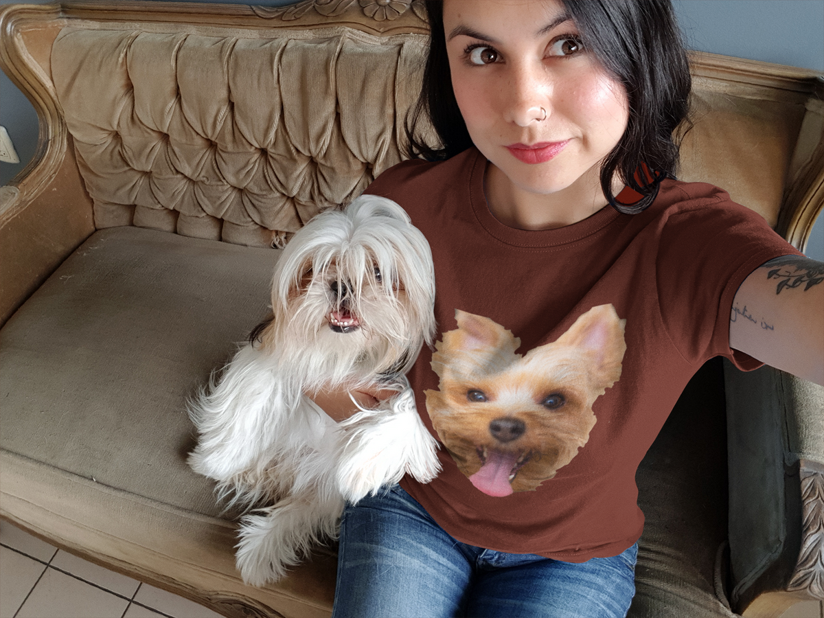 Having A Yorkie, Will Make A Better Life!