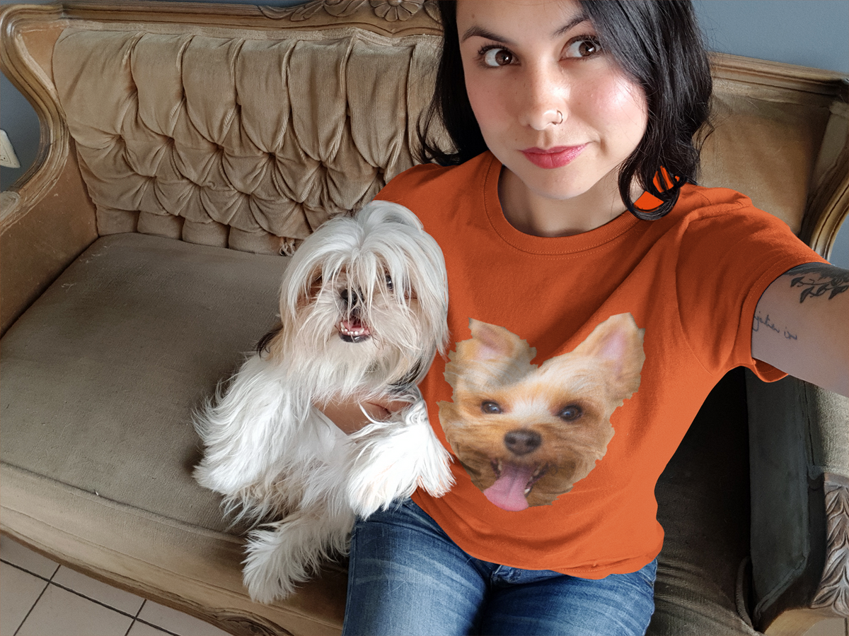 Having A Yorkie, Will Make A Better Life!