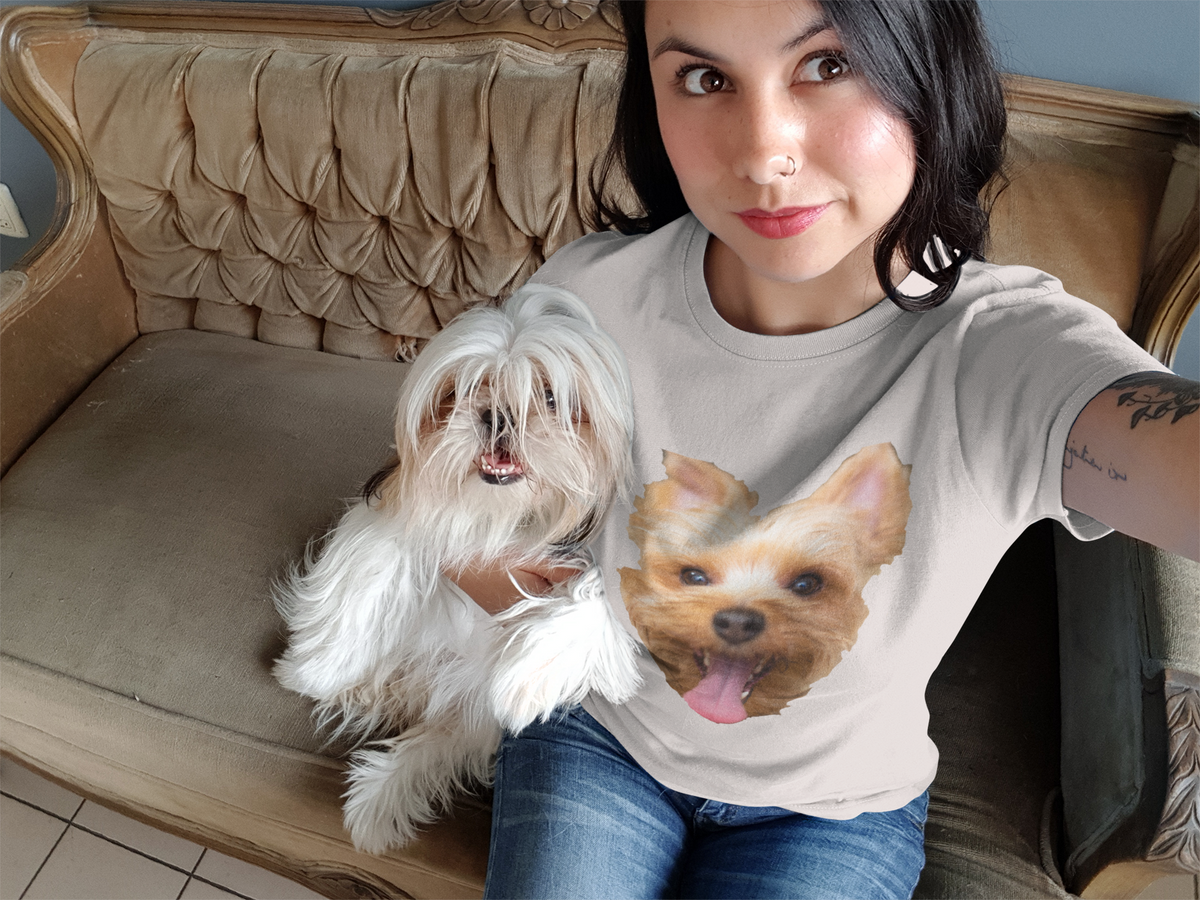 Having A Yorkie, Will Make A Better Life!